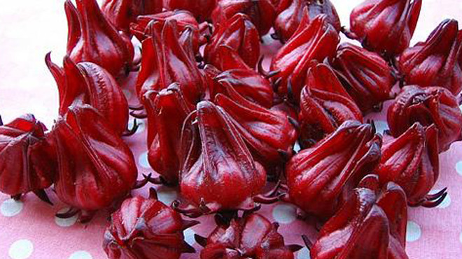 Atisô có tác dụng giải độc rất hiệu quả.