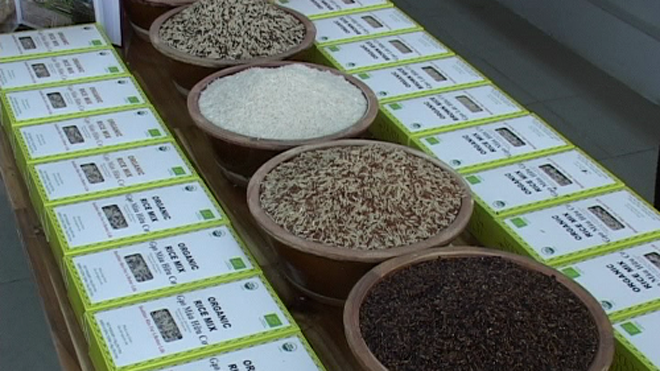 Gạo hữu cơ chức năng của công ty ông Võ Minh Khải xuất khẩu sang các nước khó tính như Anh, Nga, Singapore, Pháp, Đức, Nauy.