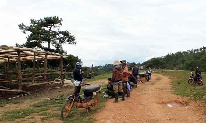 Chuồng trâu bị trộm "ghé thăm".