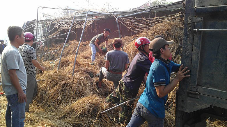 Người dân đổ xô gom dưa giúp chủ hàng. 