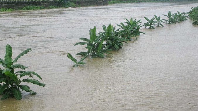 Ảnh minh họa. Nguồn: TTXVN.