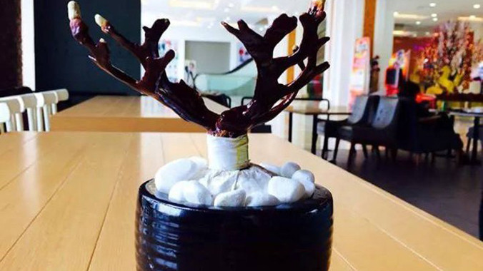 Chậu linh chi bon sai có giá trên 1 triệu đồng. Ảnh: NVCC. 