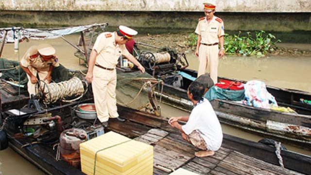 Ảnh minh họa: Con địa sâm.