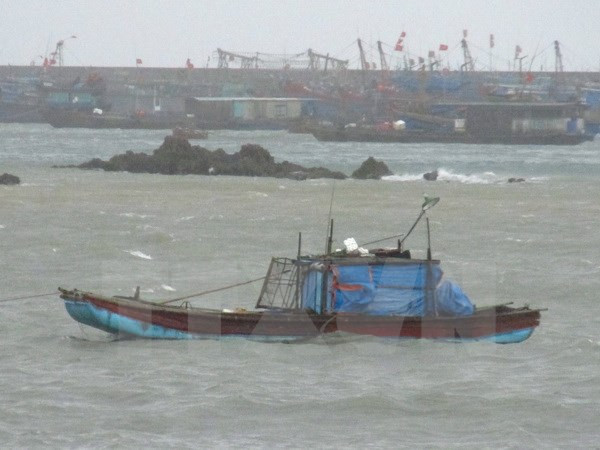 Tàu thuyền của ngư dân và tránh trú bão tại huyện đảo Cô Tô. (Ảnh: Thu Hằng-Thu Báu/TTXVN)