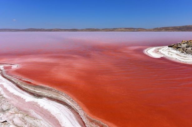 Hồ Tuz (hay hồ Muối) là hồ lớn thứ hai tại Thổ Nhĩ Kỳ. 