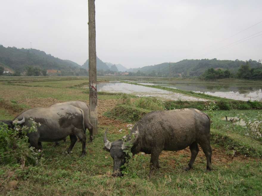 Một góc xã Thanh Quân. Ảnh: Hoàng Lam.