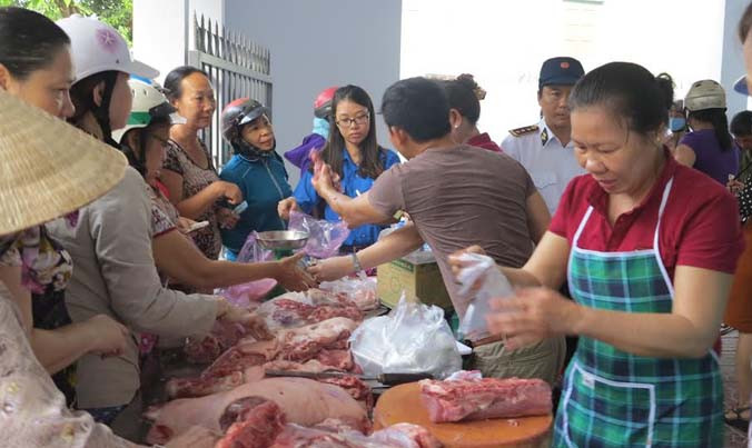 Thanh niên Bình Định ra quân 'giải cứu' thịt heo