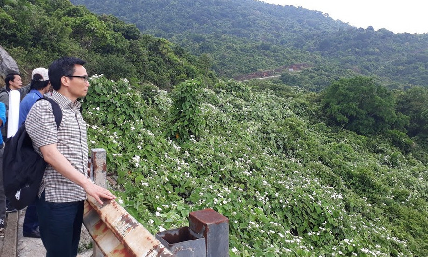 Phó Thủ tướng Vũ Đức Đam khảo sát thực tế ở bán đảo Sơn Trà. Ảnh Nguyễn Thành.