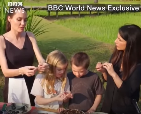 Angelina Jolie chuẩn bị nguyên liệu từ côn trùng để nấu ăn.