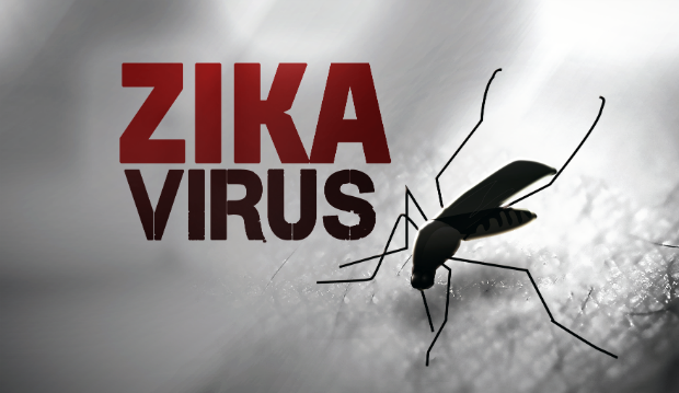 Zika hoành hành ở Singapore, Bộ Y tế họp bàn ứng phó