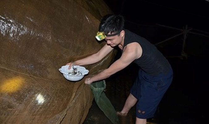 Gần chục năm nay, đêm nào thầy cô trường Tân Dân cũng bắt cá cải thiện bữa ăn cho học sinh.