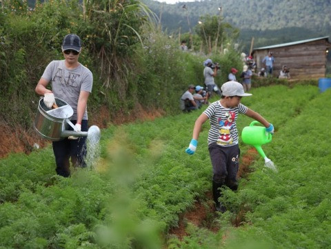 Ca sĩ Hoàng Bách và con trai trong phần thi tưới cà rốt