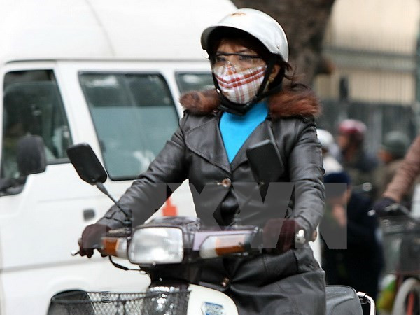 Ảnh minh họa. (Nguồn: Nhật Anh/TTXVN)