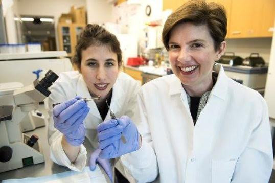 Giáo sư Brenda Ogle và cộng sự (Ảnh: Sciencedaily).