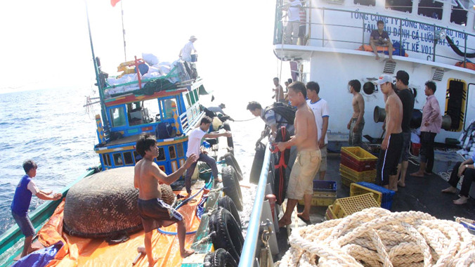Vận chuyển cá nục từ tàu Sang Fish 01 sang tàu hậu cần ĐNa 90424. Ảnh: Nguyễn Huy 