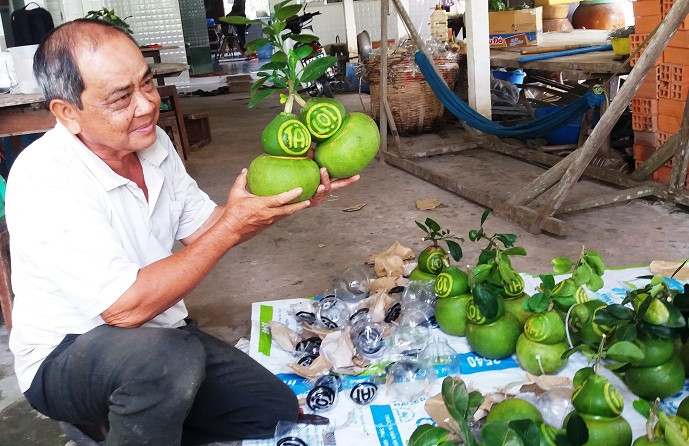 Khách hàng thích thú với sản phẩm của ông Võ Trung Thành.