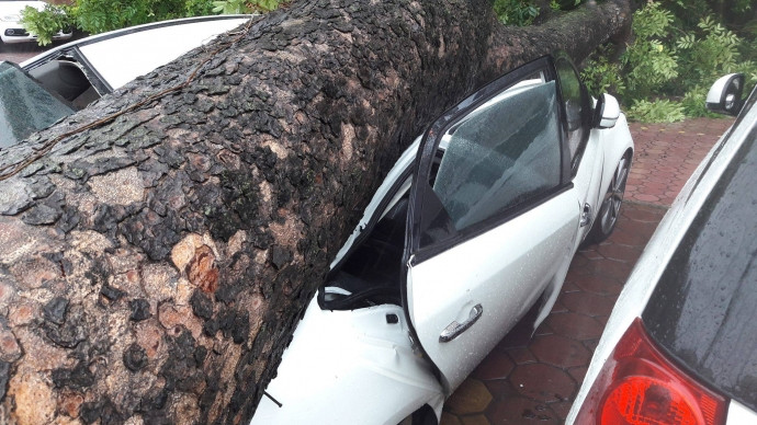 Phần thân cây đổ đè bẹp chiếc xe ô tô loại 4 chỗ đỗ ven đường.