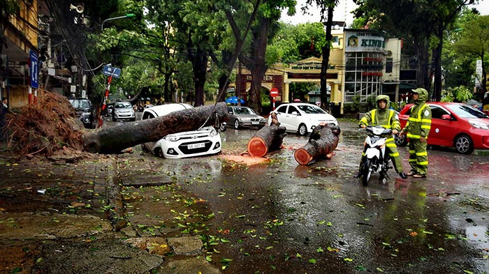 Khắc phục sự cố sau khi bão Mirinae đi qua