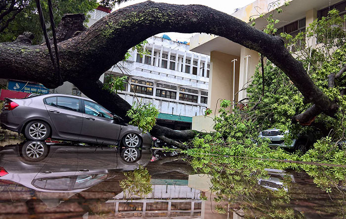 Vì sao bão số 1 gây thiệt hại lớn?