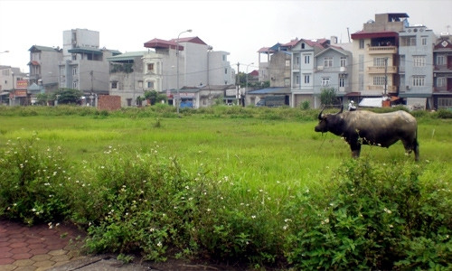 Gần 800 dự án bất động sản đang “bất động”