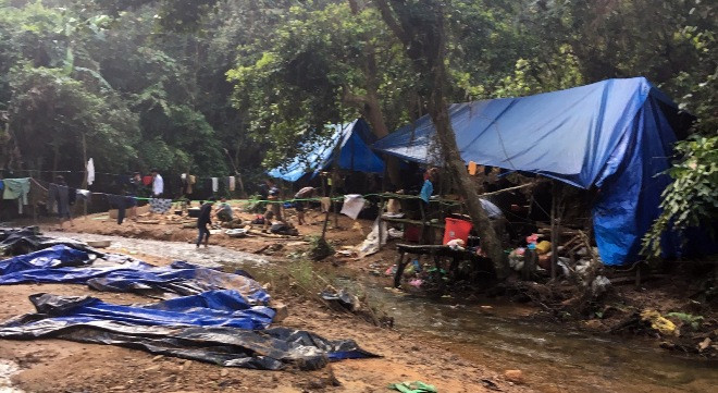 Các đối tượng khai thác vàng trái phép dựng lán trại trong khu vực mỏ vàng Bồng Miêu. Ảnh CA