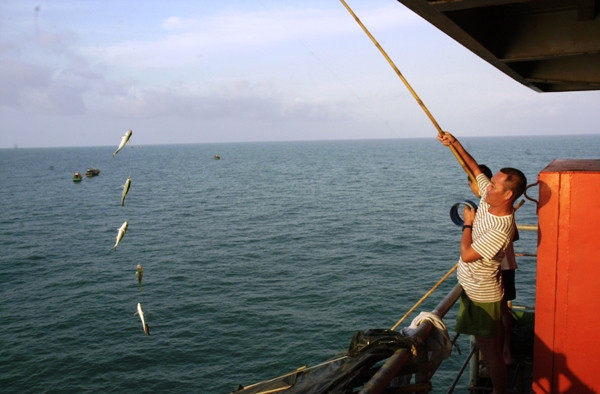 “Lộc biển” ở nhà giàn DK1/10. Ảnh Võ Quang Thường.