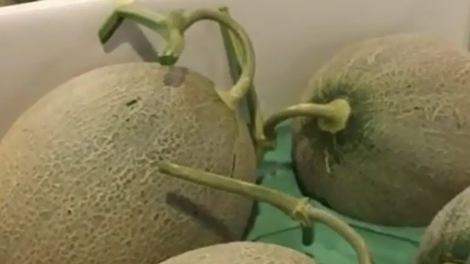 Điểm danh trái cây đắt nhất hành tinh, nửa tỷ đồng/cặp