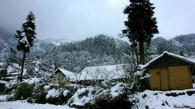 Tuyết rơi trắng xóa tại Phó Bảng (Đồng Văn, Hà Giang) vào lúc 11h trưa nay.