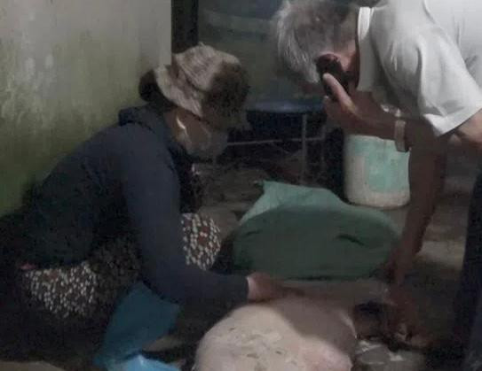 Bắt quả tang cơ sở thu mua heo chết về xẻ thịt bán ra thị trường