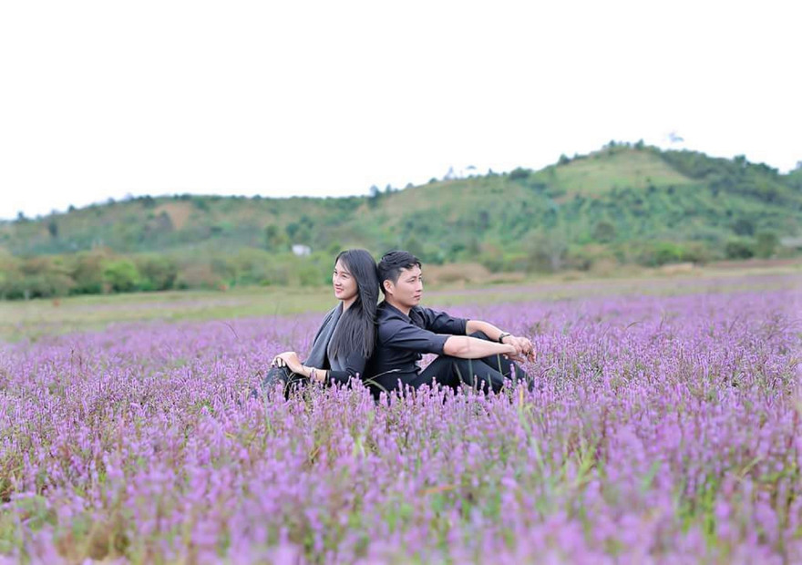 Tạo dáng giữa cánh đồng hoa.