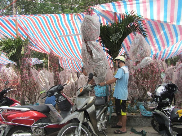 Công việc chở thuê vào ngày cuối năm đang rất bận rộn.