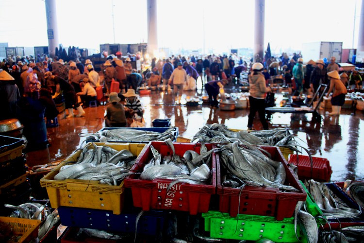 Chợ lao động nơi bến cá ngày cận Tết