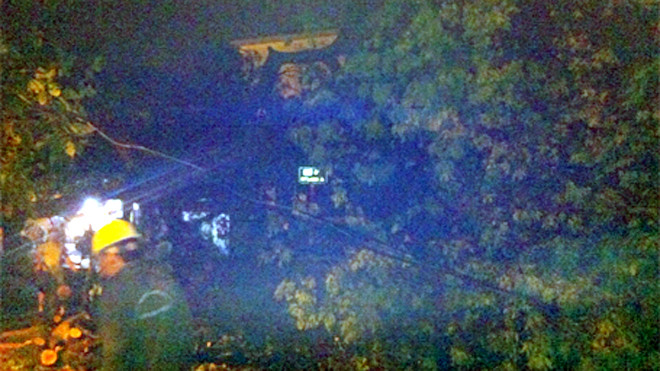 Cây xà cừ cổ thụ bật gốc, chắn ngang đường. Ảnh cơ quan chức năng cung cấp.