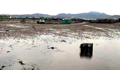 Cánh đồng hai phụ nữ bị sét đánh. Ảnh: N.X/Ngoisao.net.