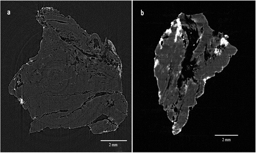 Hình chụp cắt lớp của một thỏi sáp tô. Ảnh: Scientific Report.