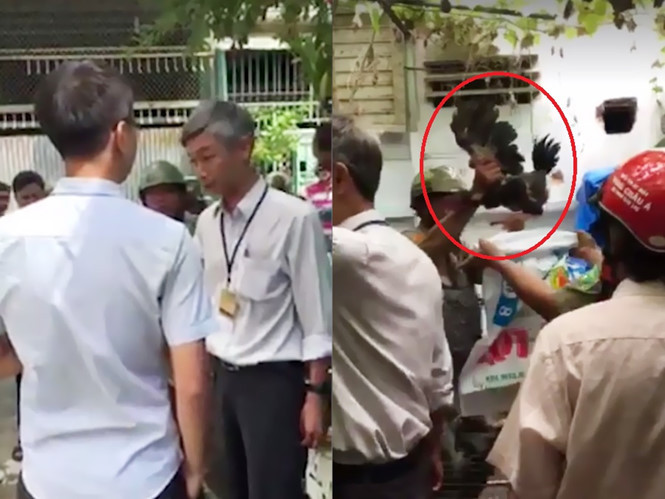 Đoàn kiểm tra của phường 15 xuống bắt gà. Ảnh cắt từ clip.