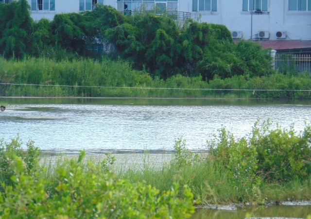 Ao nước nơi cháu bé 9 tuổi tử vong khi bắt cá.