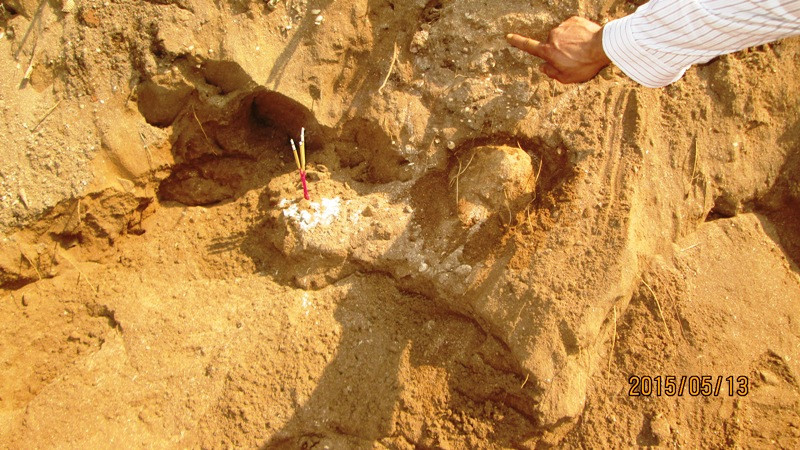 Một phần bộ xương.