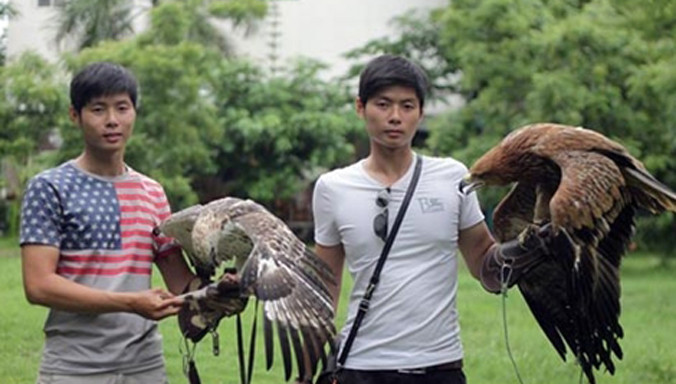 Cặp song sinh và những chú chim săn rất quý hiếm có tiền cũng khó mua được.