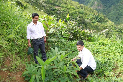 Đội viên dự án 600 Phó chủ tịch xã ứng cử HĐND?