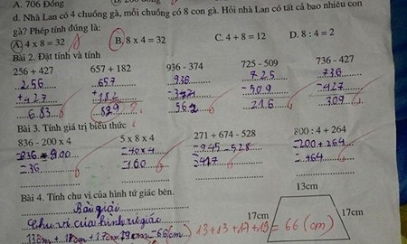 Bài toán tính gà gây tranh cãi.