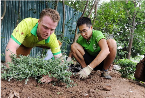 Bức ảnh trong bộ ảnh người nước ngoài làm sạch môi trường Hà Nội
