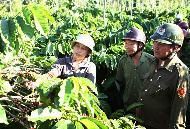 Tổ dân phòng xã Hòa Đông