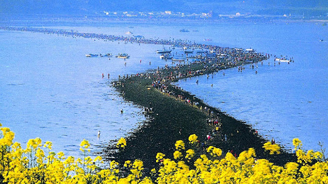 Con đường nhỏ lộ ra nối liền đảo Jindo và Modo.