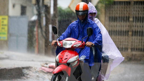 Ảnh minh họa: Internet.