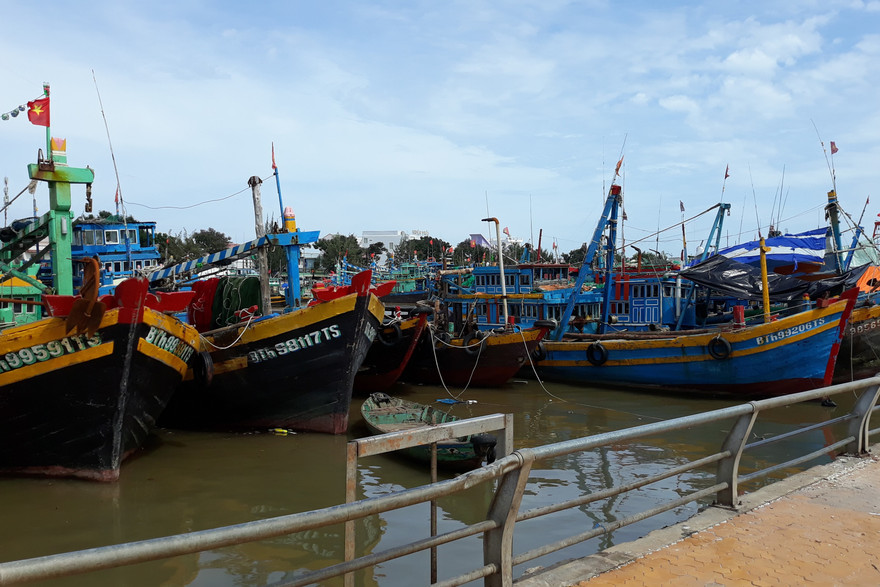 Tàu vào bờ neo đậu tránh bão.