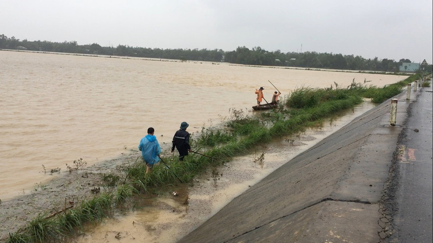 Người dân đi dọc bờ ruộng dùng gậy đánh cho chuột chạy lên đường. Ảnh: Thanh Trần.