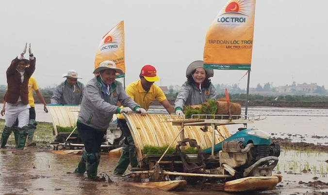 Lãnh đạo tỉnh Ninh Bình lội ruộng cùng bà con nông dân.