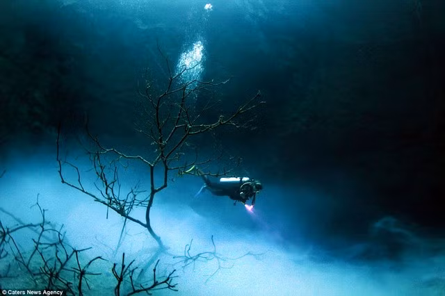 Choáng ngợp vẻ đẹp trong hố tử thần của người Maya