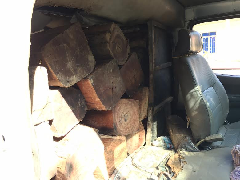 Nửa số gỗ bị cướp còn lại